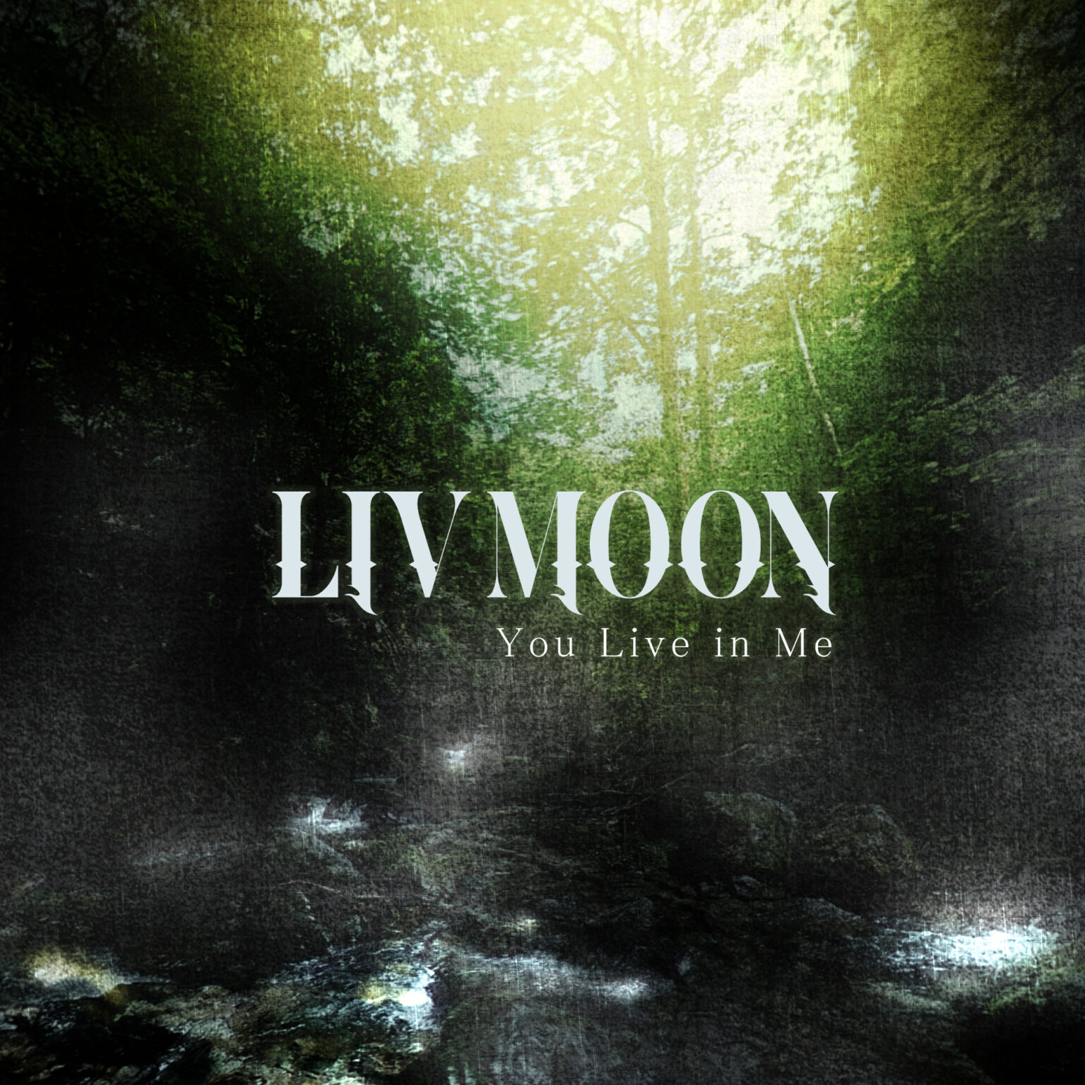 liv-moon-you-live-in-me-wlkr-0083-walk-re-records